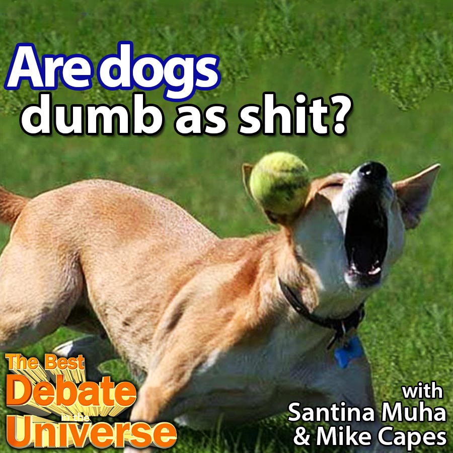 The Best Debate in the Universe
