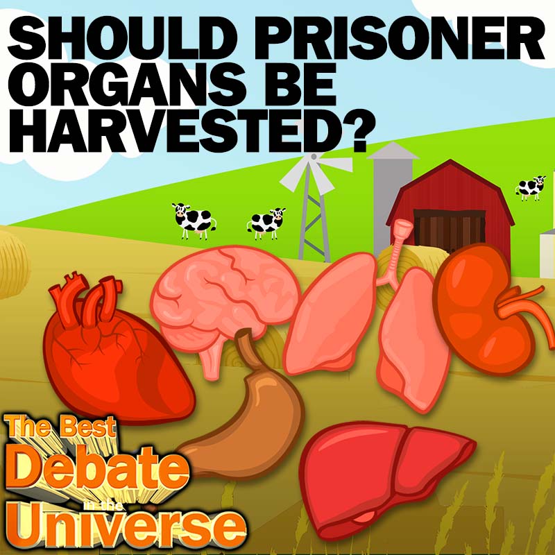 Episode #45 - Should prisoner organs be harvested? Lyle McDouchebag, Rucka, Mikey, iPhone song, Jungle Book episode artwork