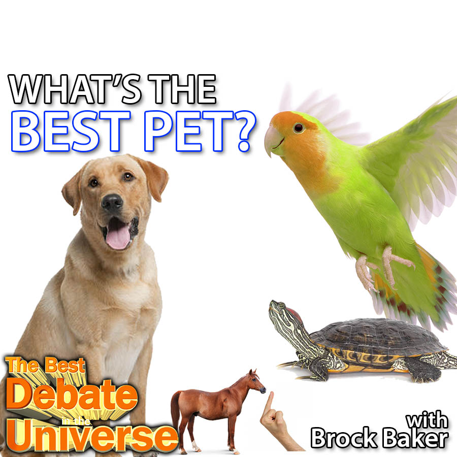 Episode #85 - What's the best pet? Brock Baker, Rucka, Elvis Cup, Dutch Cops, Horse Wang